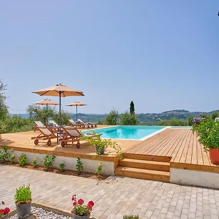 Olive Grove