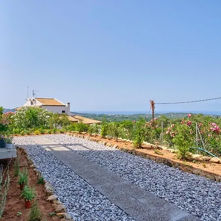 Willa Olive Grove Vigglatouri